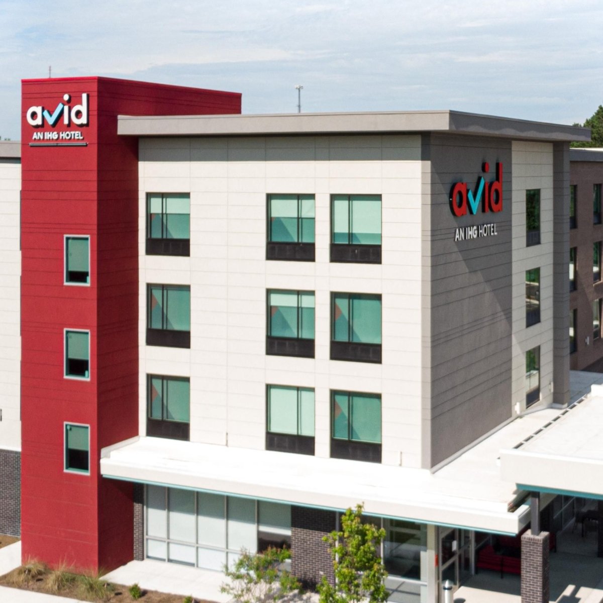 Avid